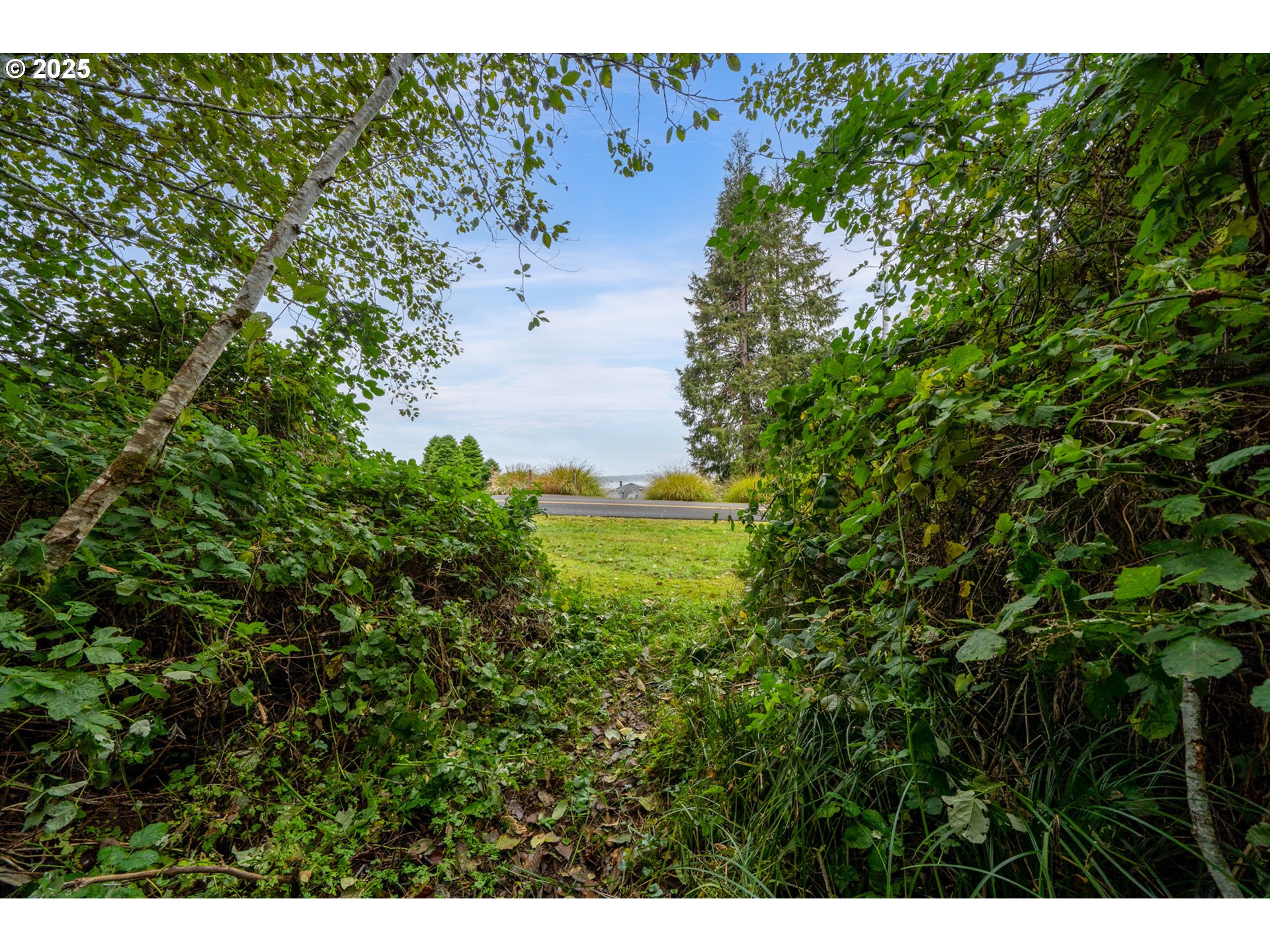 Rowe Street, Unit 1800 Wheeler, OR 97147 - Photo 5 of 11 a view of a large yard with lots of green space
