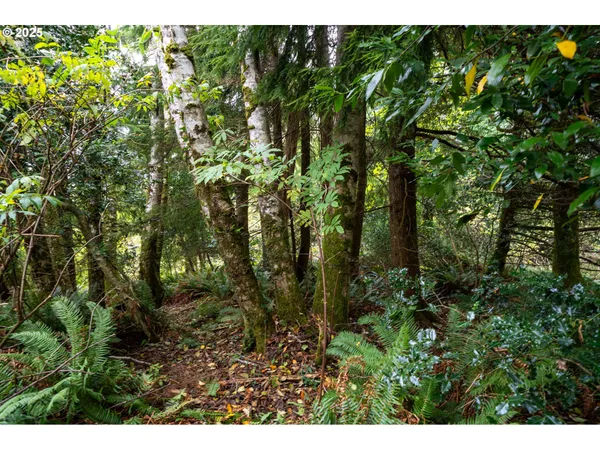 $150,000 | Rowe Street, Unit 1800, Wheeler, OR 97147