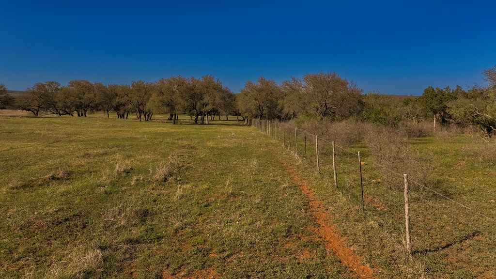 1474 County Road 212 Voca, TX 76887 - Photo 11 of 35