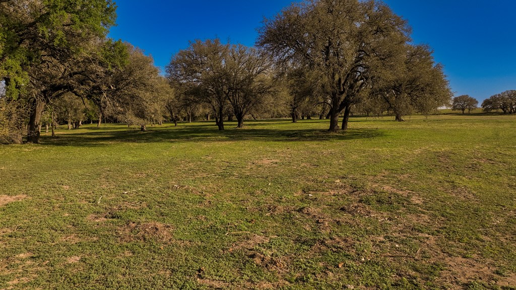 1474 County Road 212 Voca, TX 76887 - Photo 19 of 35