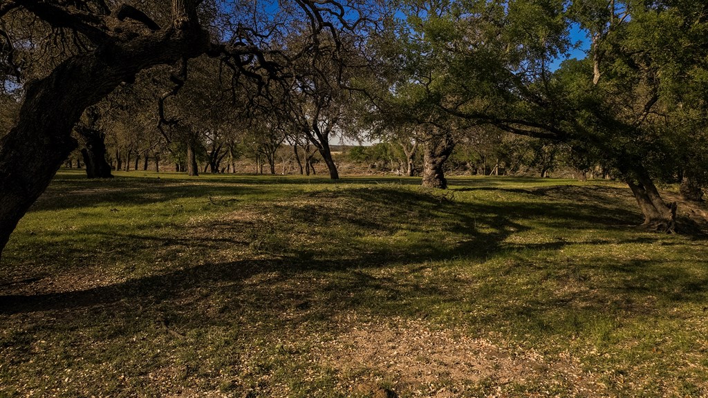 1474 County Road 212 Voca, TX 76887 - Photo 25 of 35