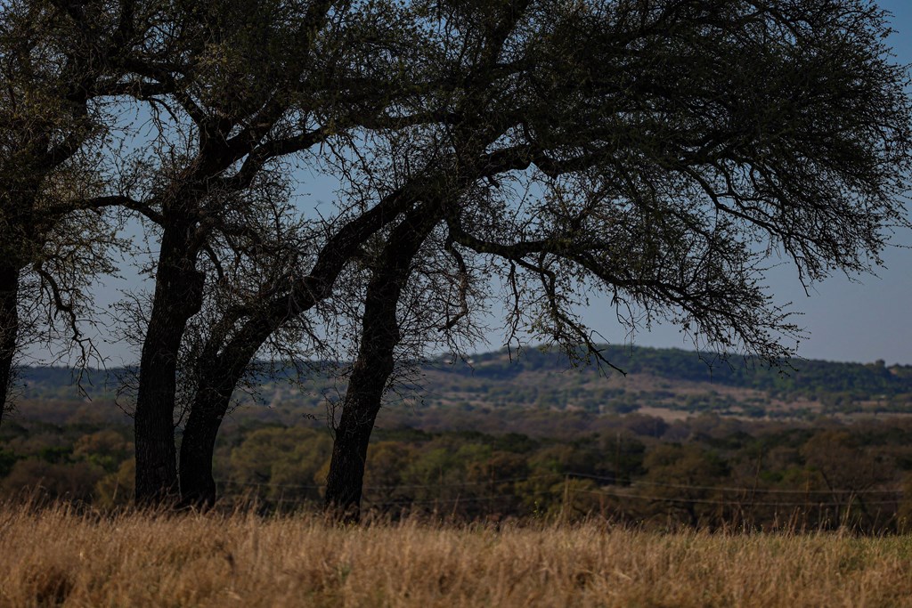 1474 County Road 212 Voca, TX 76887 - Photo 28 of 35