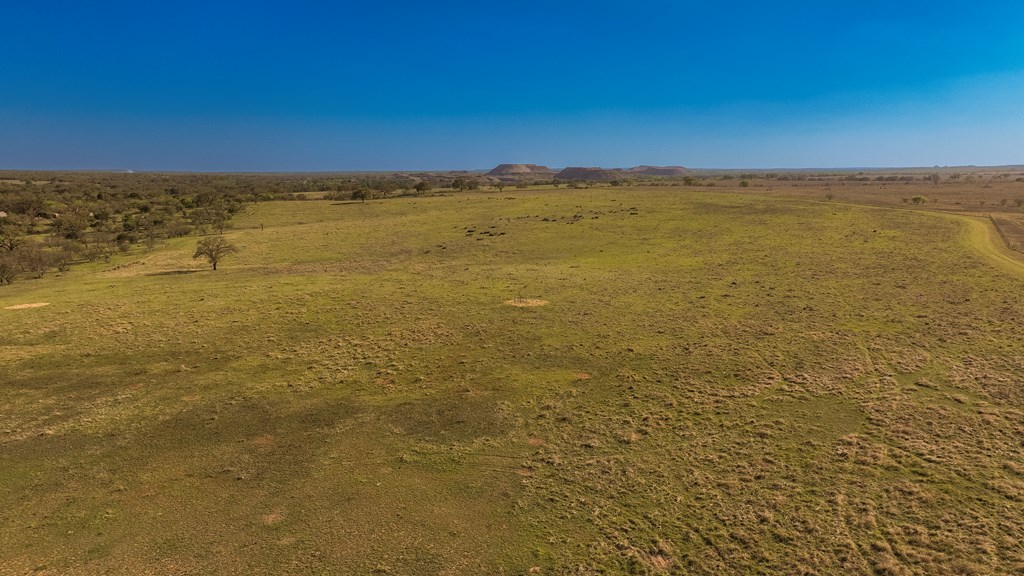 1474 County Road 212 Voca, TX 76887 - Photo 7 of 35