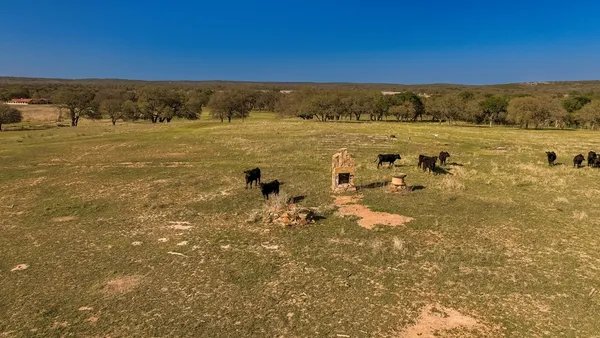 a view of a lake with lots of residential buildings