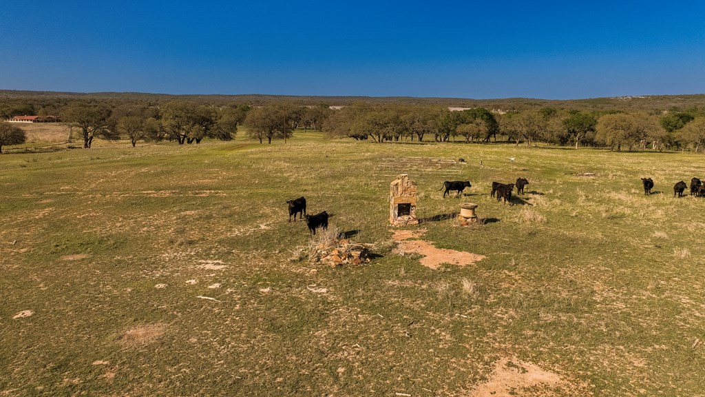1474 County Road 212 Voca, TX 76887 - Photo 8 of 35