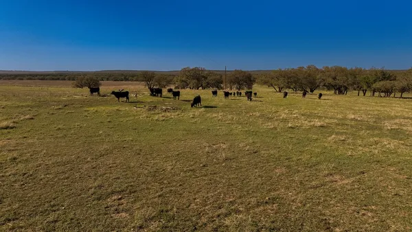 a view of a field with ocean view