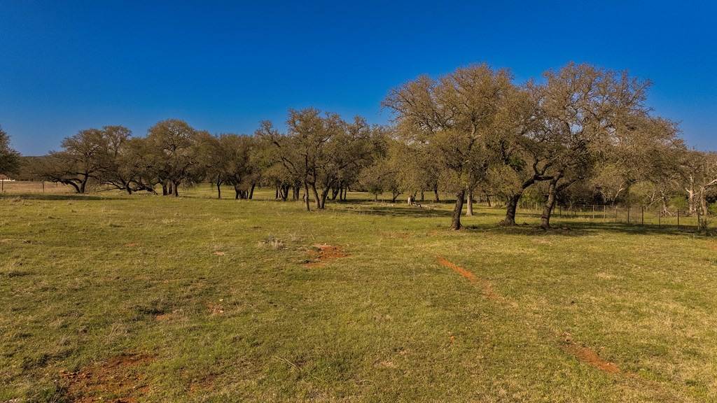 1474 County Road 212 Voca, TX 76887 - Photo 10 of 35