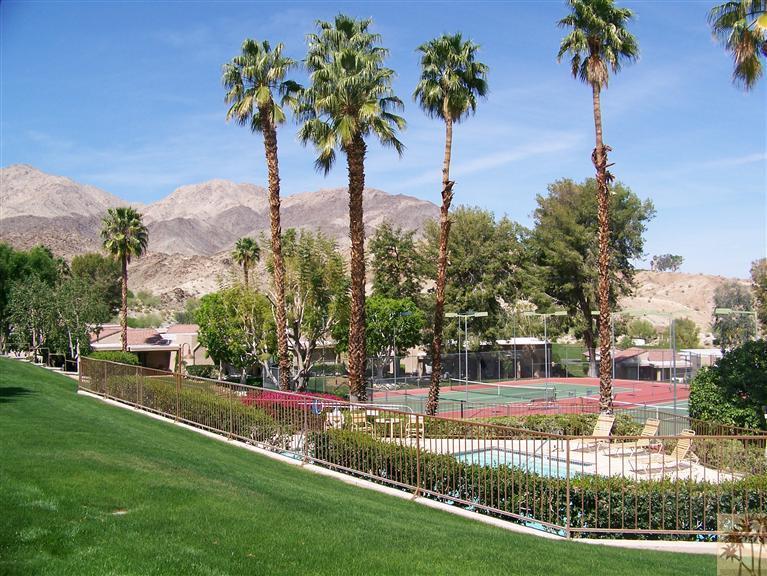 a view of a garden