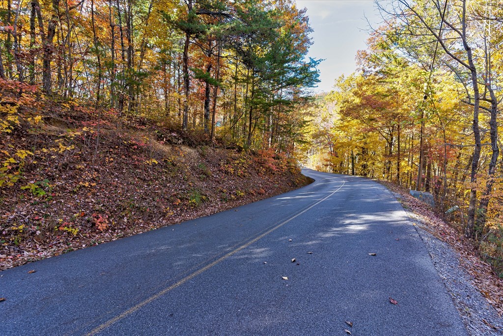 58 Harvest Moon Road Sevierville, TN 37862 - Photo 9 of 18 Gallery Image 9
