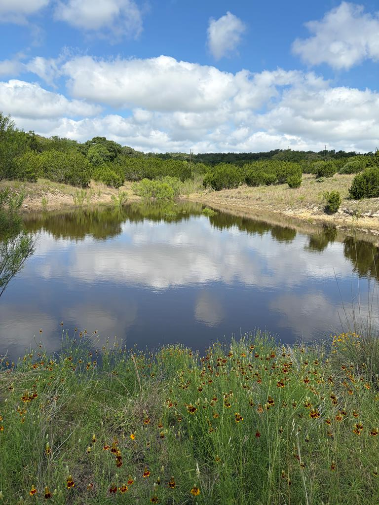 2 Sanctuary Lane, Unit 2 Blanco, TX 78606 - Photo 9 of 13