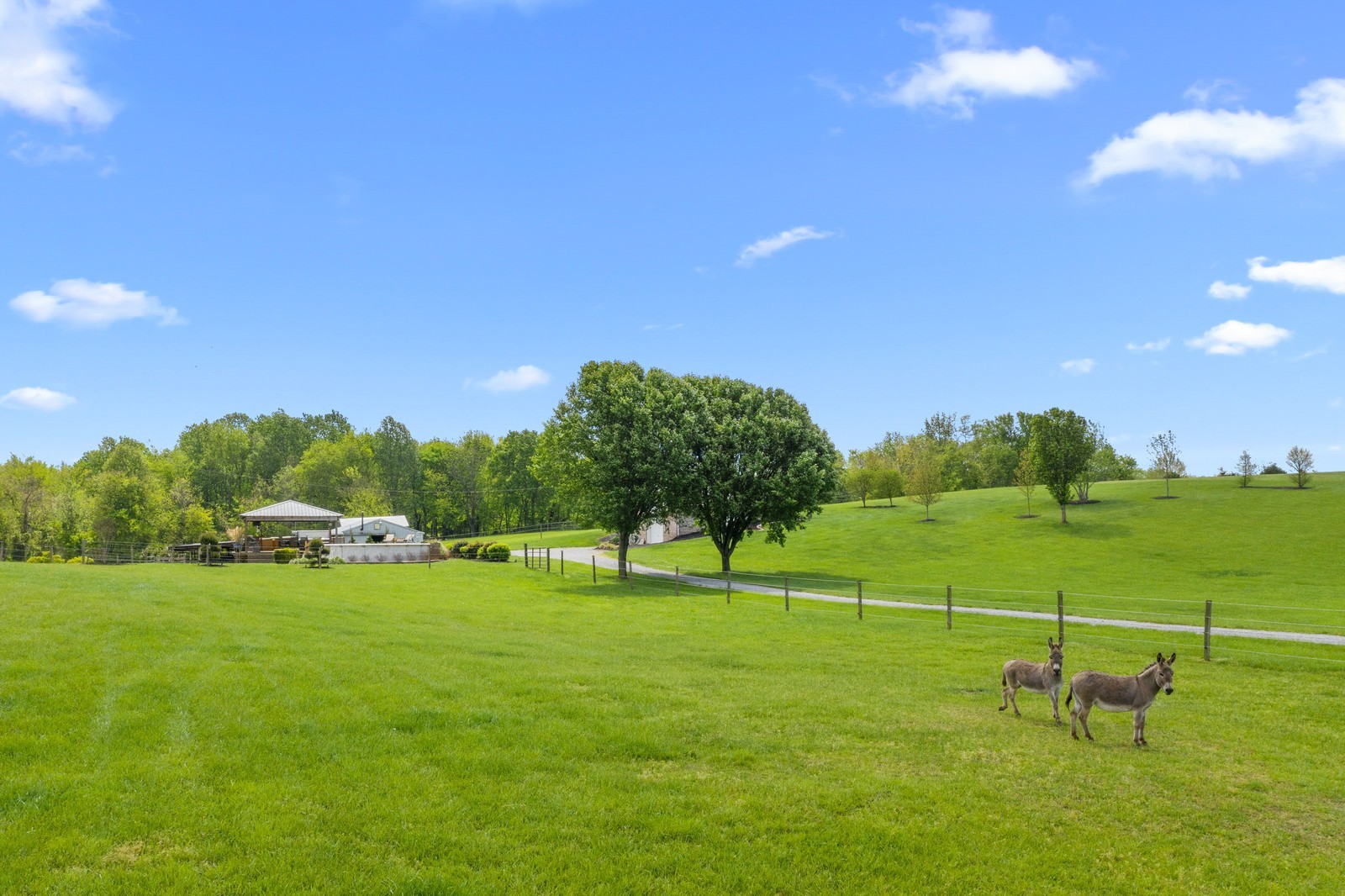 6099 Woodruff Tolleson Road Adams, TN 37010 - Photo 11 of 42