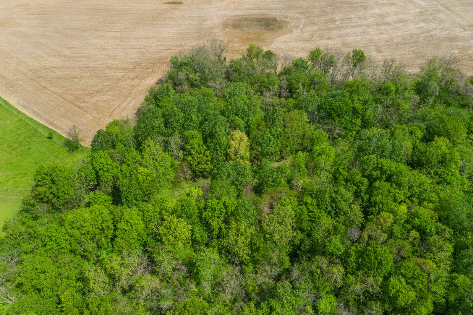 6099 Woodruff Tolleson Road Adams, TN 37010 - Photo 42 of 42