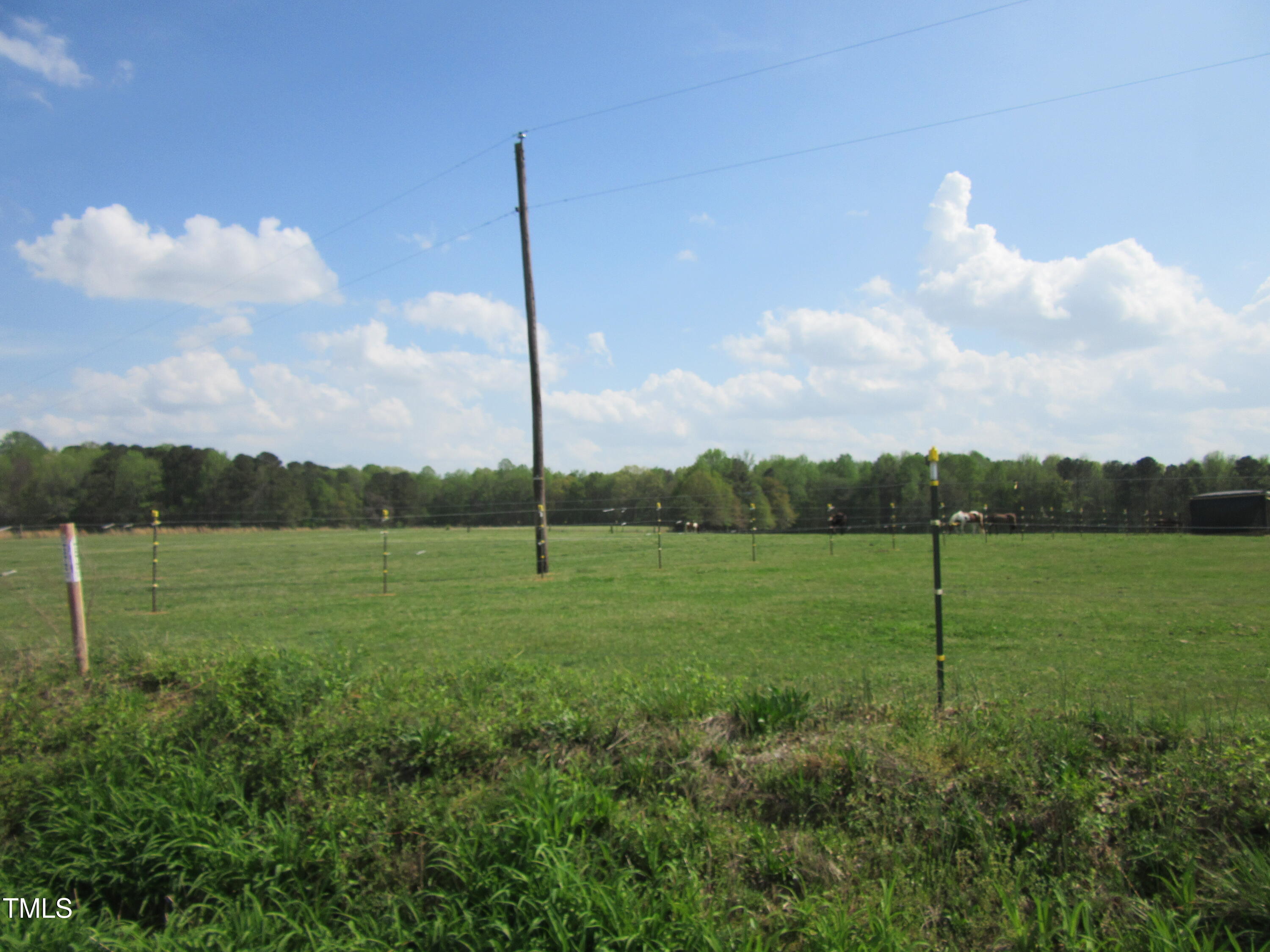 4 Pine Ridge Road Zebulon, NC 27597 - Photo 4 of 5 IMG_1403