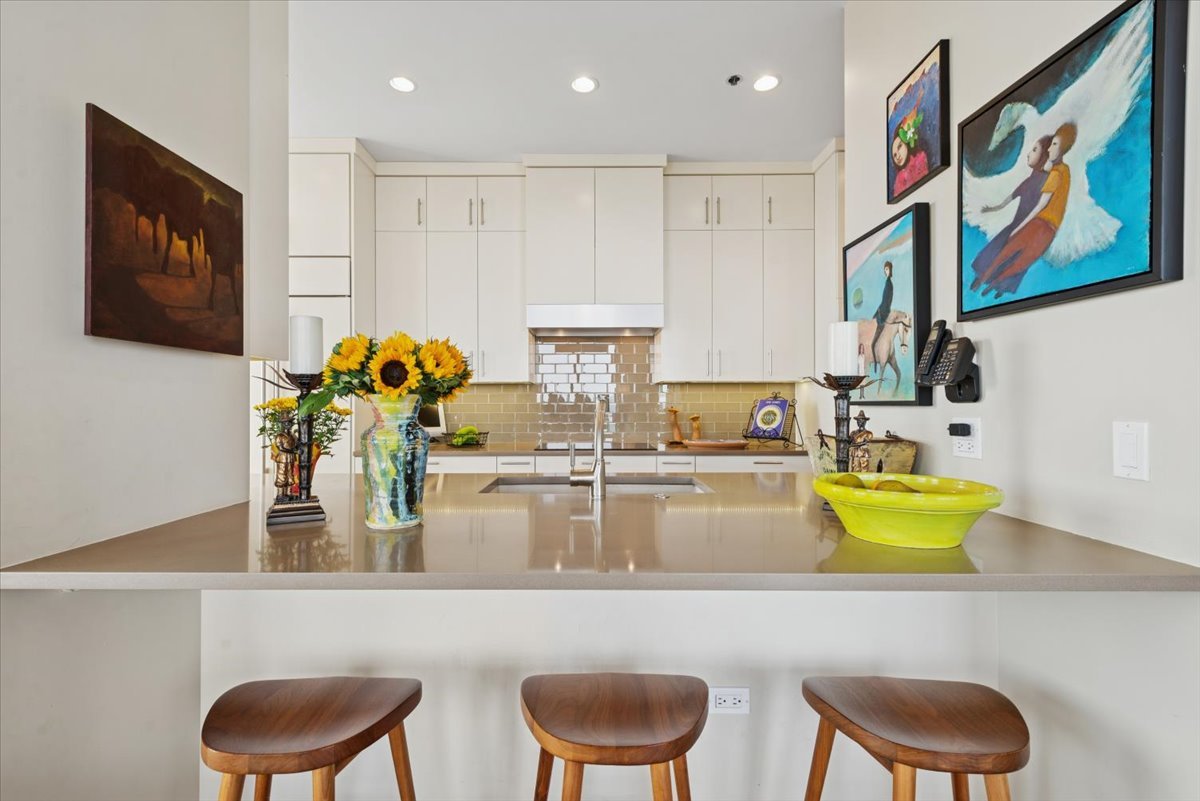 1335 South Prairie Avenue, Unit 2005 Chicago, IL 60605 - Photo 15 of 27 a kitchen with stainless steel appliances granite countertop a dining table and chairs with wooden floor