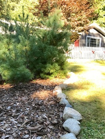 211 Westhampton Road Northampton, MA 01062 - Photo 16 of 21 a view of a yard with wooden fence