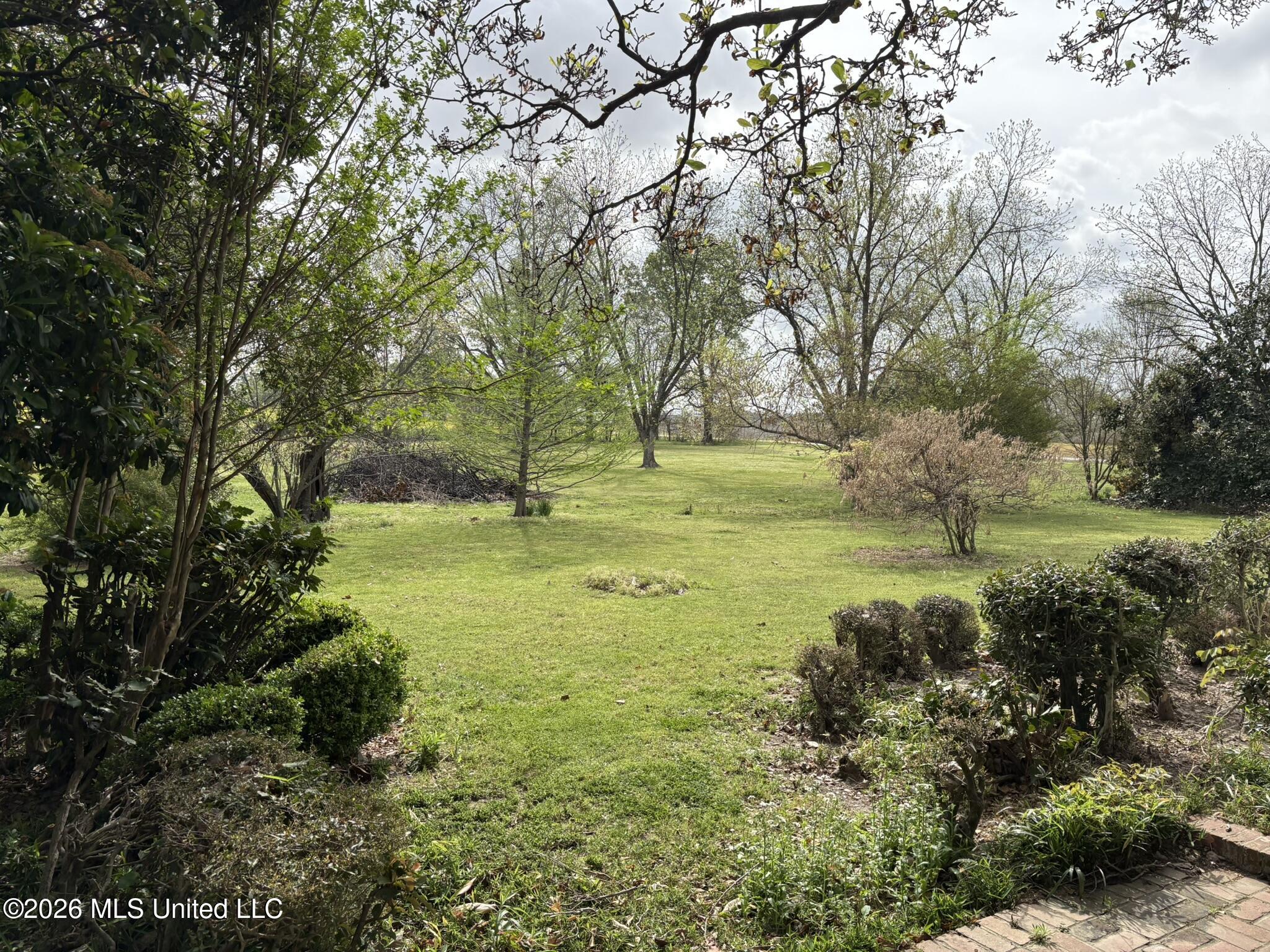 665 Baltzer Rome Road Tutwiler, MS 38963 - Photo 26 of 34 665 Baltzer-Rome.JPEG side yard 1