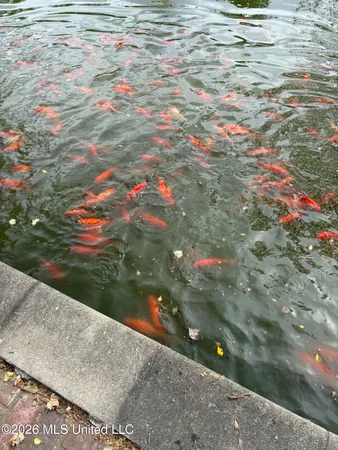 $325,000 | 665 Baltzer Rome Road, Tutwiler, MS 38963