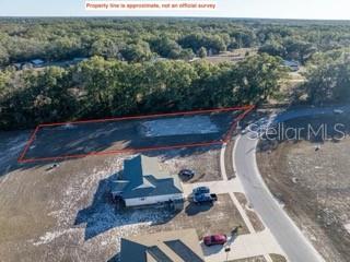 1772 Roberts Trail Bell, FL 32619 - Photo 26 of 26