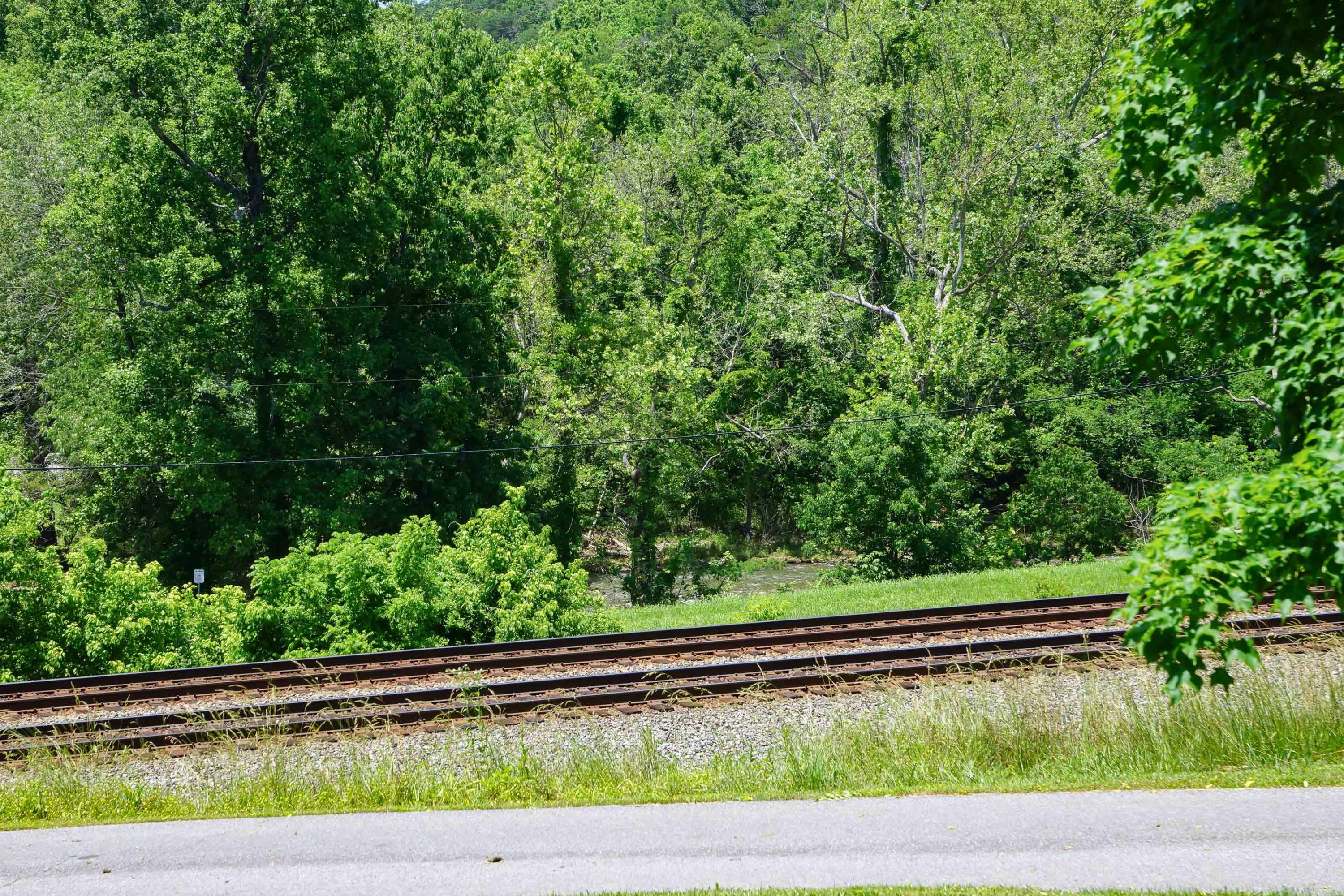 4686 Roger Road Salem, VA 24153 - Photo 45 of 46 DSC07418