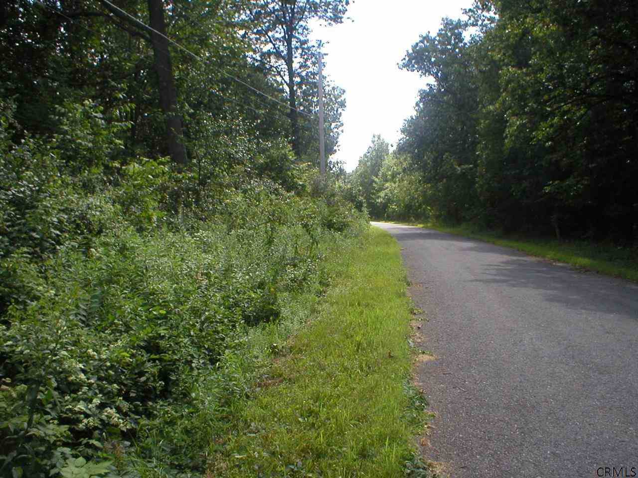 0 Brophy Road Greenwich, NY 12834 - Photo 2 of 6 Photo 2