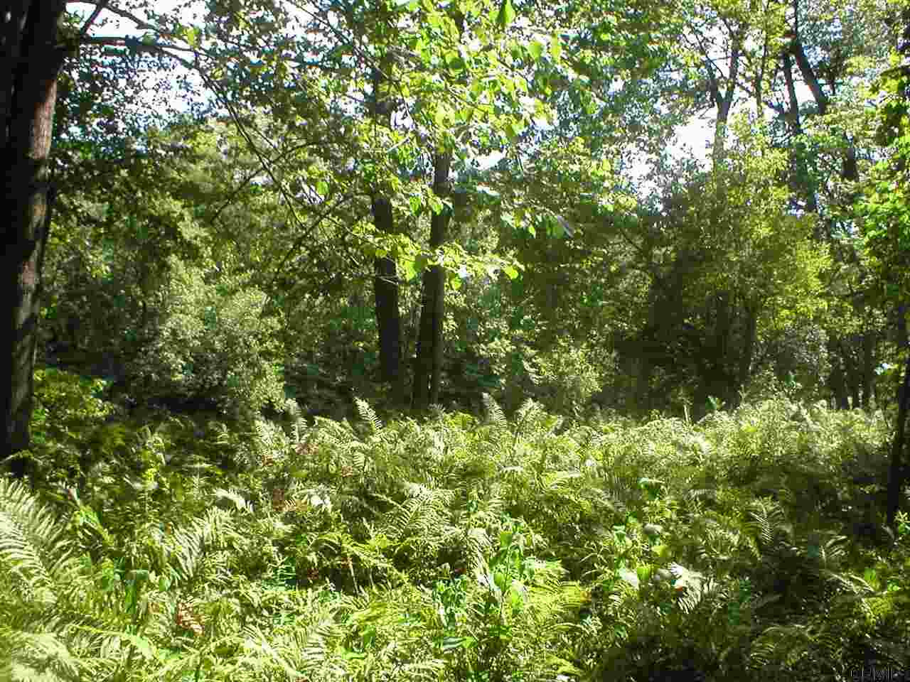 0 Brophy Road Greenwich, NY 12834 - Photo 4 of 6 Photo 4