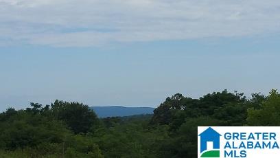 9 Highway 9 Lineville, AL 36266 - Photo 5 of 8