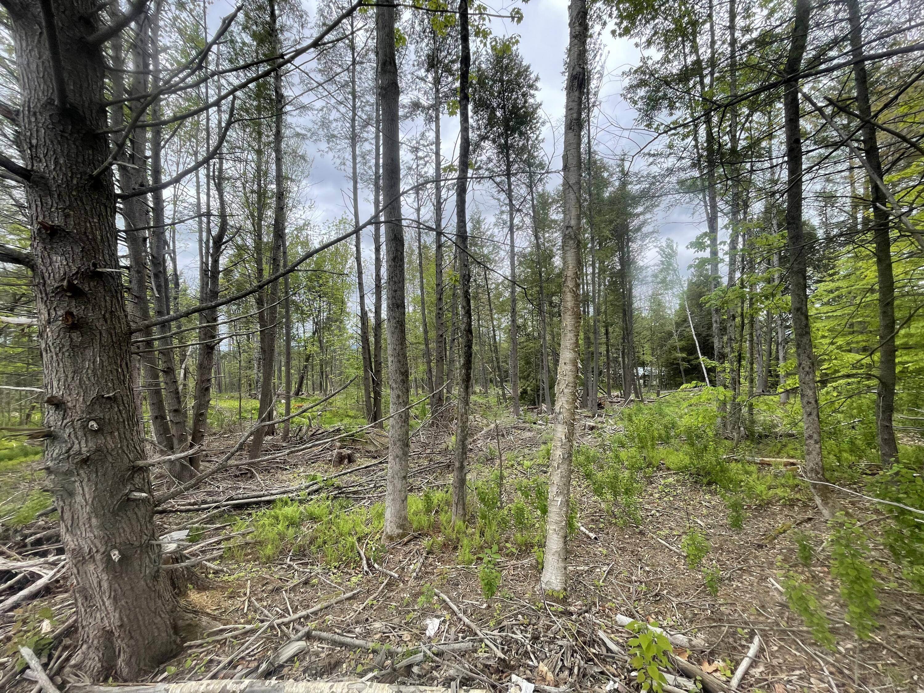 13a Zions Hill Road Chesterville, ME 04938 - Photo 9 of 14