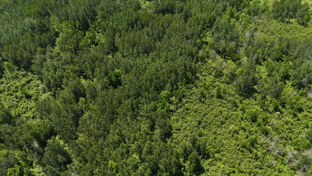 $89,900 | Tbd Irondale Road, Superior, WI 54880