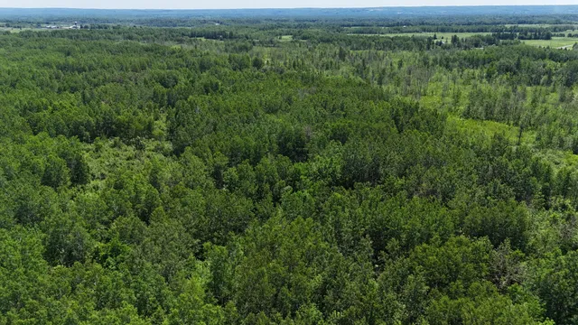 $89,900 | Tbd Irondale Road, Superior, WI 54880