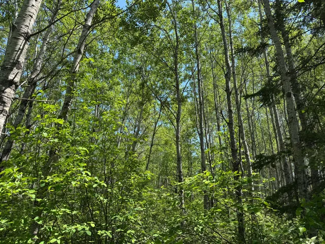 $89,900 | Tbd Irondale Road, Superior, WI 54880