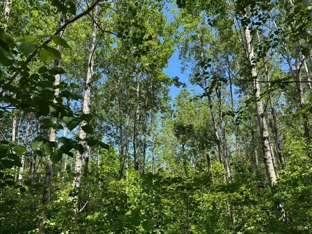 $89,900 | Tbd Irondale Road, Superior, WI 54880