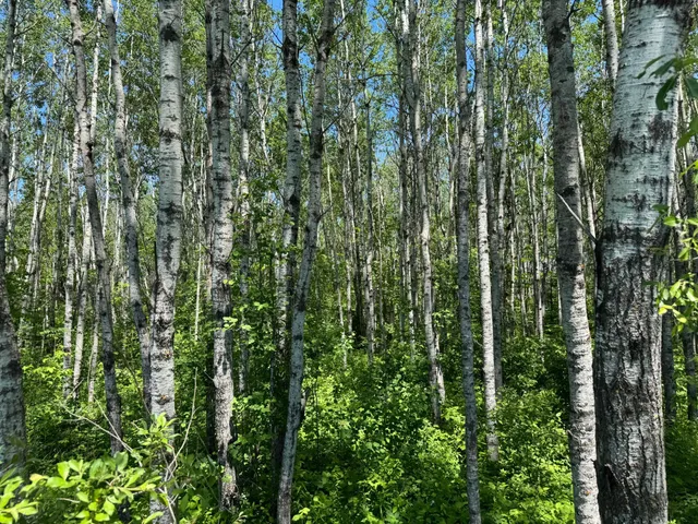 $89,900 | Tbd Irondale Road, Superior, WI 54880