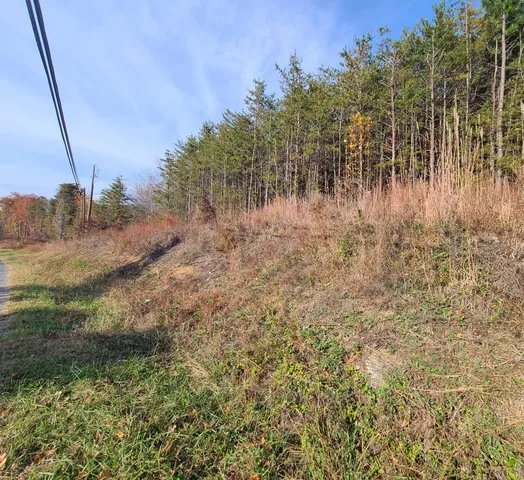 $50,000 | 10 Pittsville Road, Gretna, VA 24557