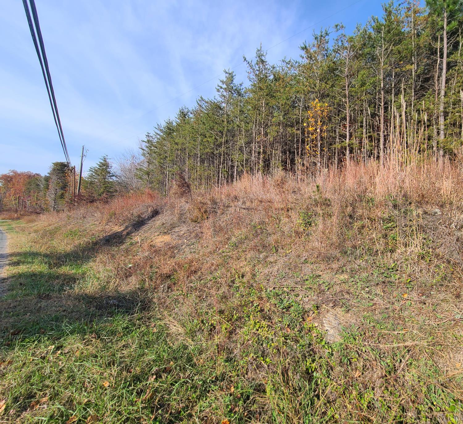 10 Pittsville Road Gretna, VA 24557 - Photo 2 of 4