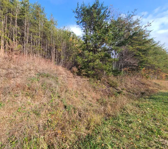 $50,000 | 10 Pittsville Road, Gretna, VA 24557