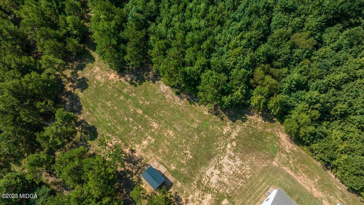 249 Davis Road Gray, GA 31032 - Photo 42 of 53 a view of a yard with plants and trees