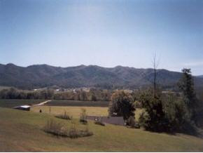 903 Taylor Bridge Road Jonesborough, TN 37659 - Photo 3 of 3 Photo 3