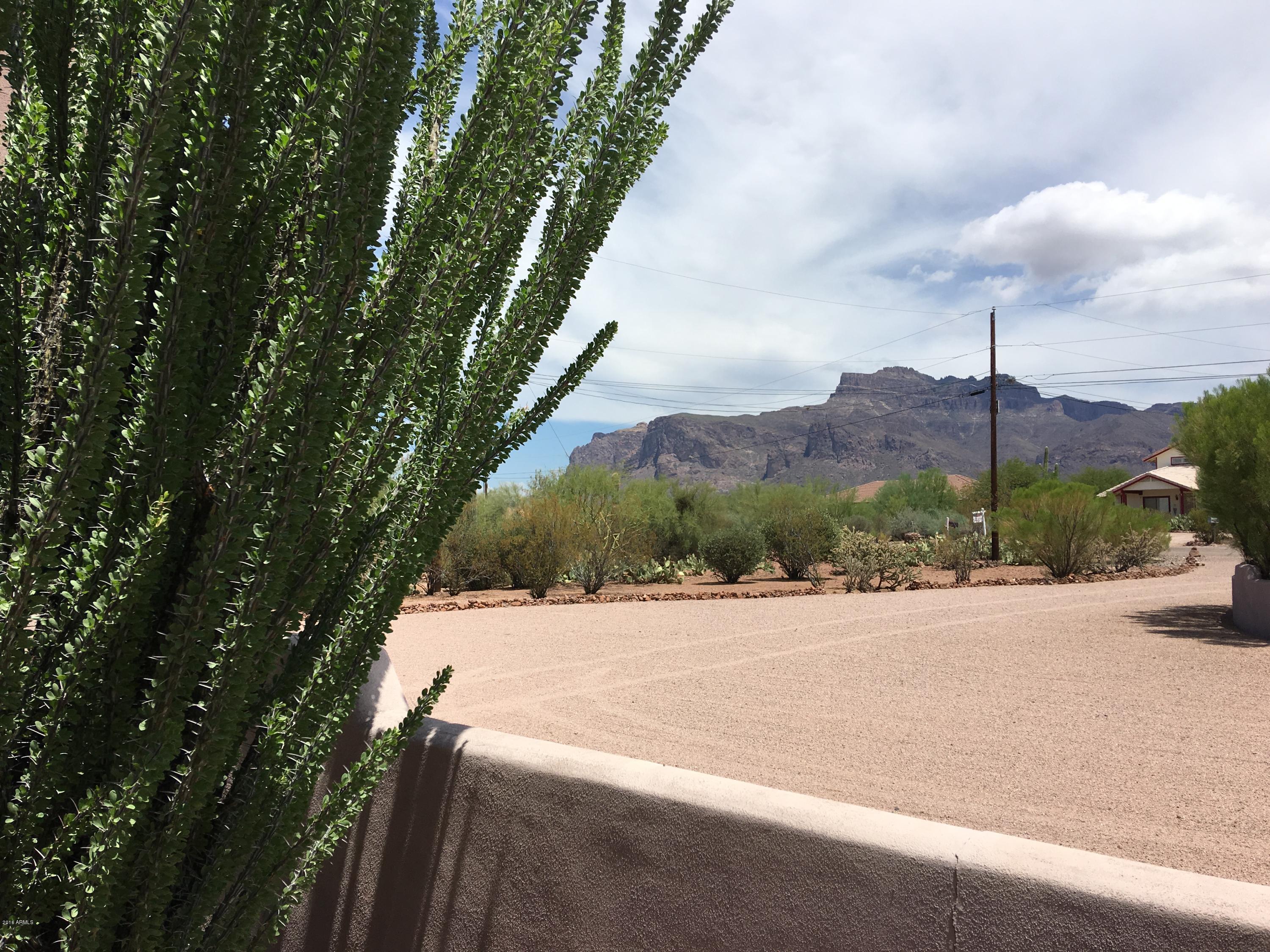 2102 South Val Vista Road Apache Junction, AZ 85119 - Photo 27 of 59 IMG_0132