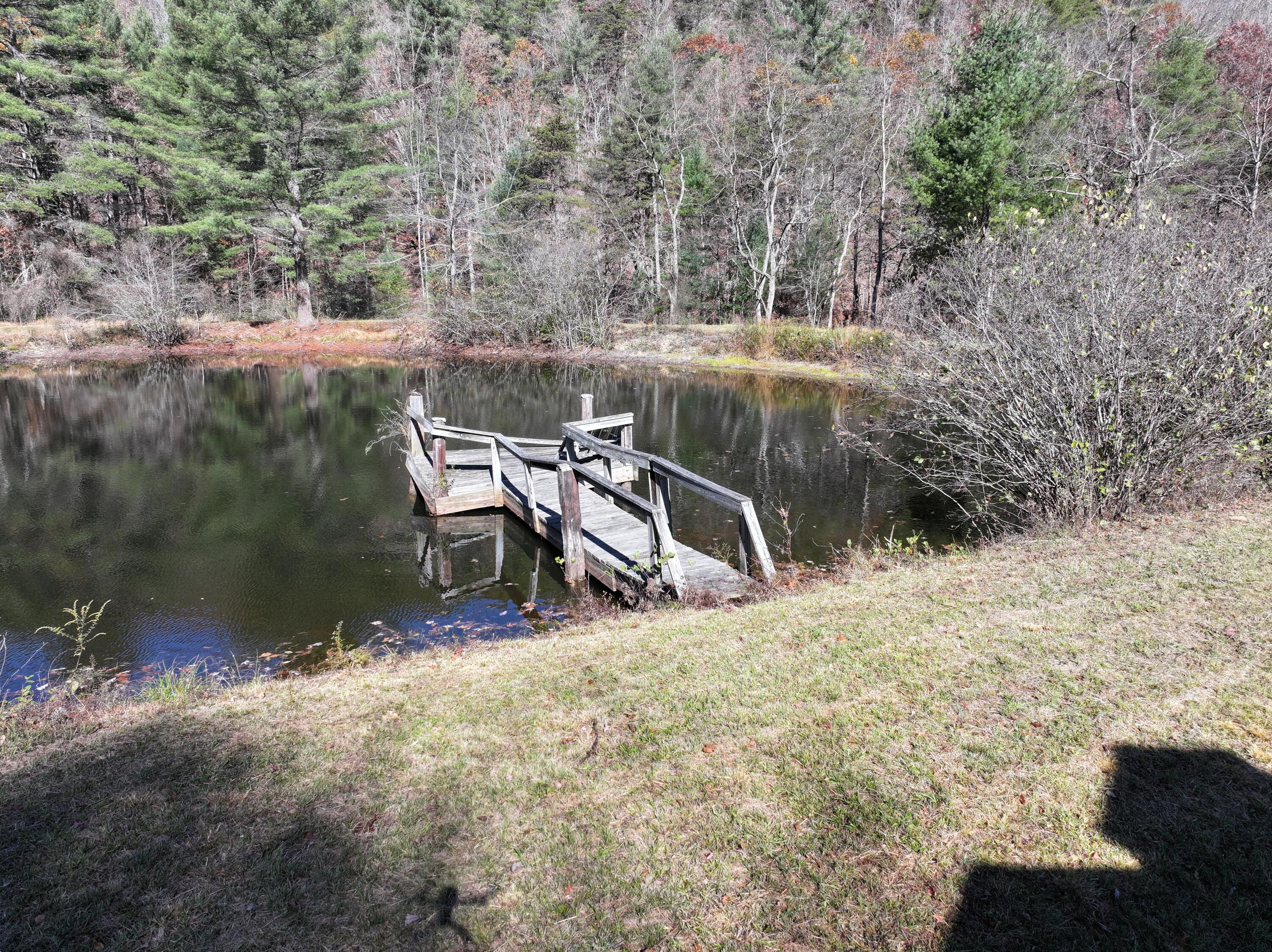 1080 Roxalia Turnpike Road Gap Mills, WV 24941 - Photo 63 of 81 DJI_20251024163647_0045_D