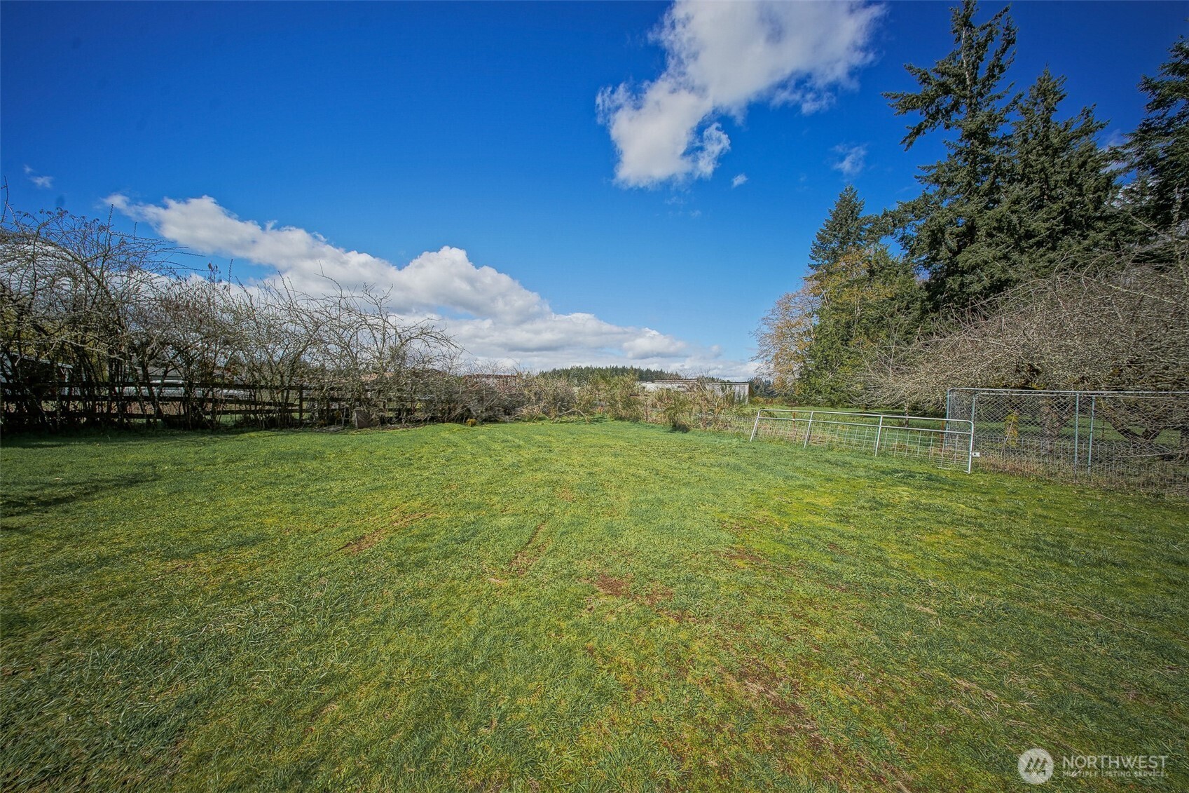 4110 Baker Ames Road Northeast Olympia, WA 98506 - Photo 6 of 40 a view of a field with an ocean