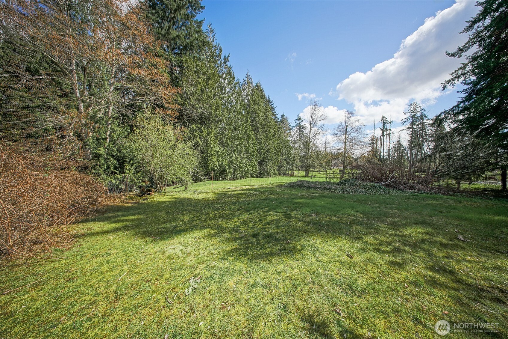 4110 Baker Ames Road Northeast Olympia, WA 98506 - Photo 9 of 40