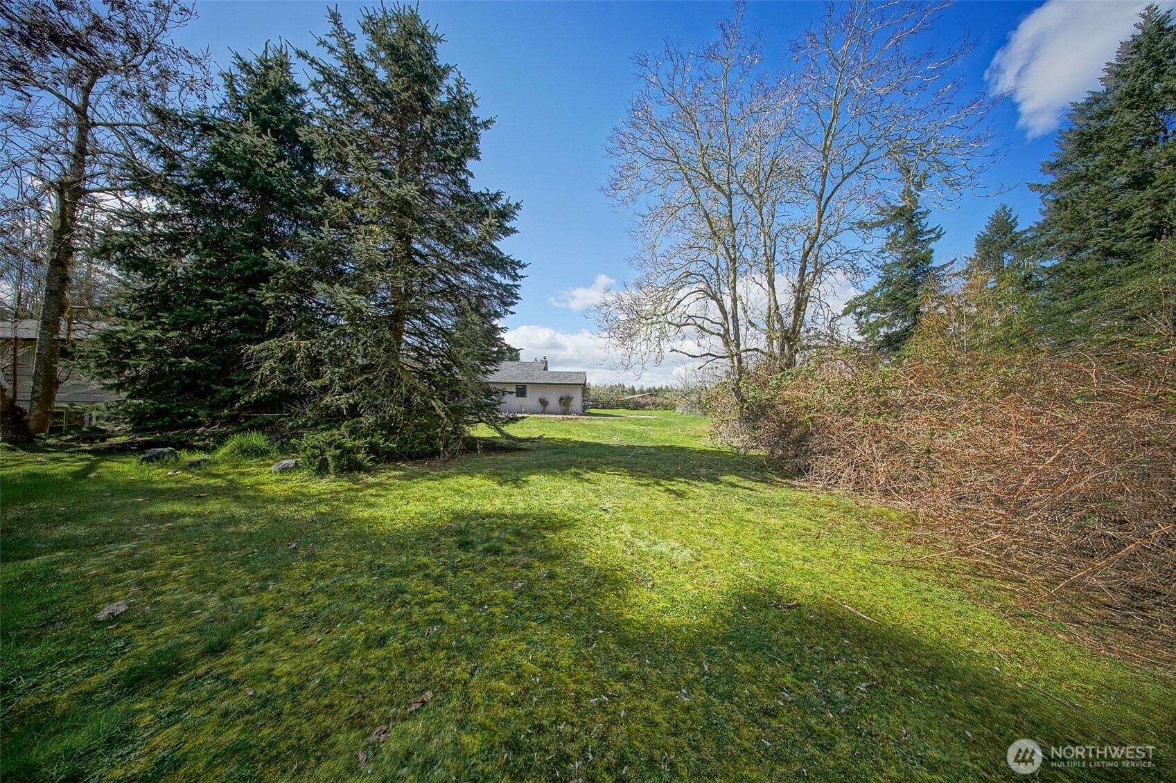 4110 Baker Ames Road Northeast Olympia, WA 98506 - Photo 10 of 40 a view of a yard with large trees