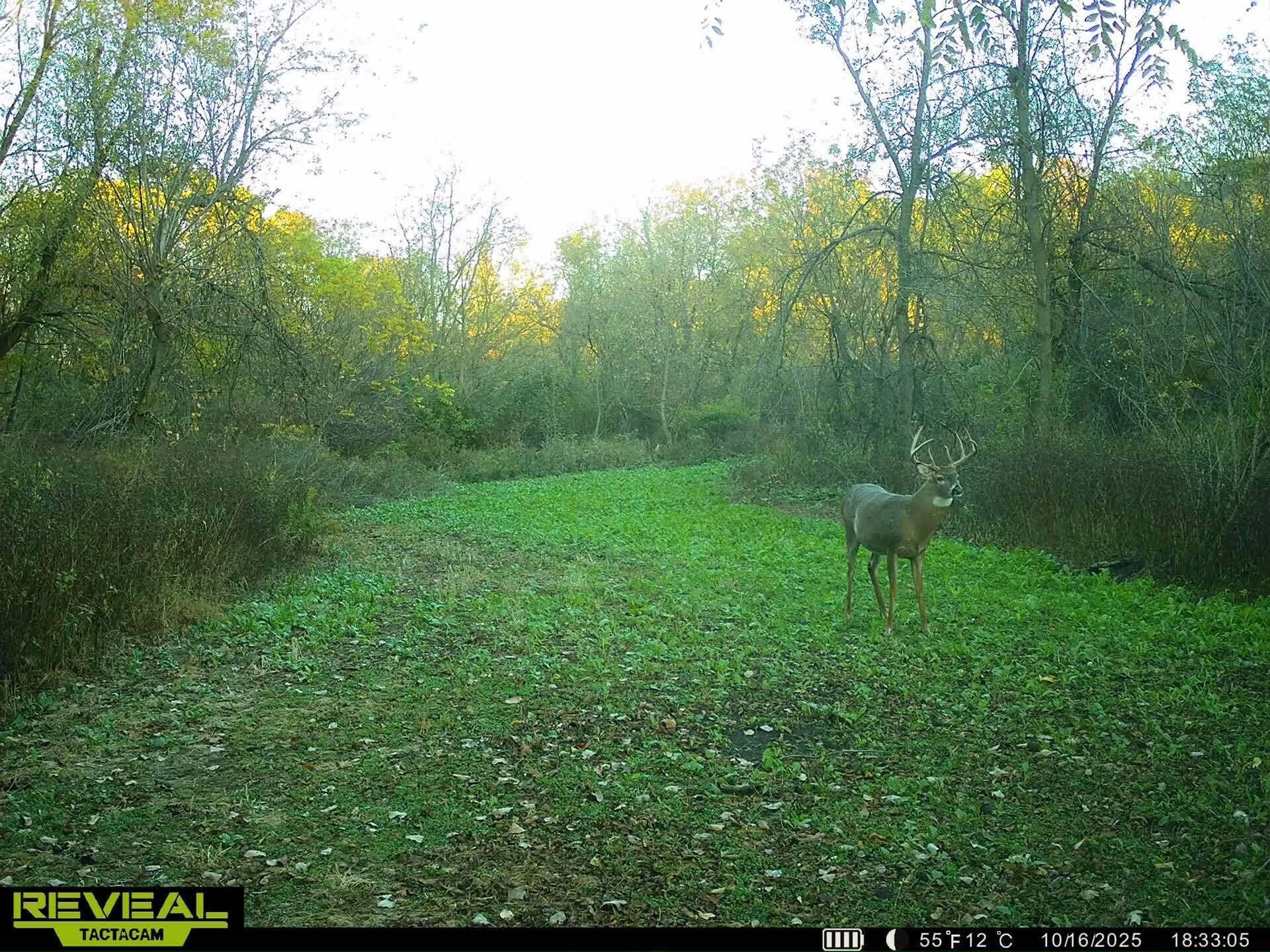 5121 Skuse Road Osseo, MI 49266 - Photo 25 of 32 sk26