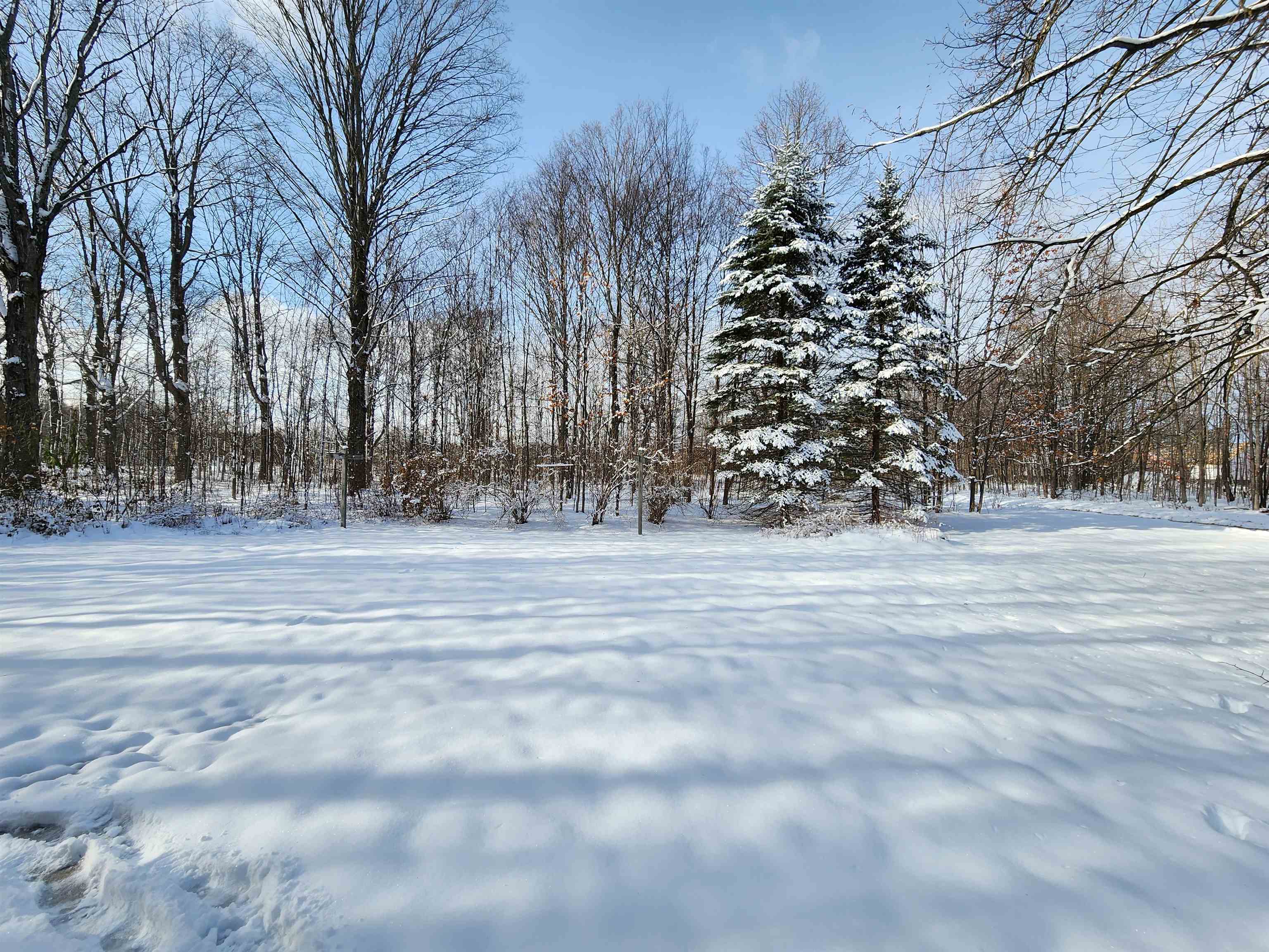 10405 Bailey Road Mancelona, MI 49659 - Photo 58 of 58 1918040-c264783a-c754-45ba-bdd4-1c0c17340e6a.JPG