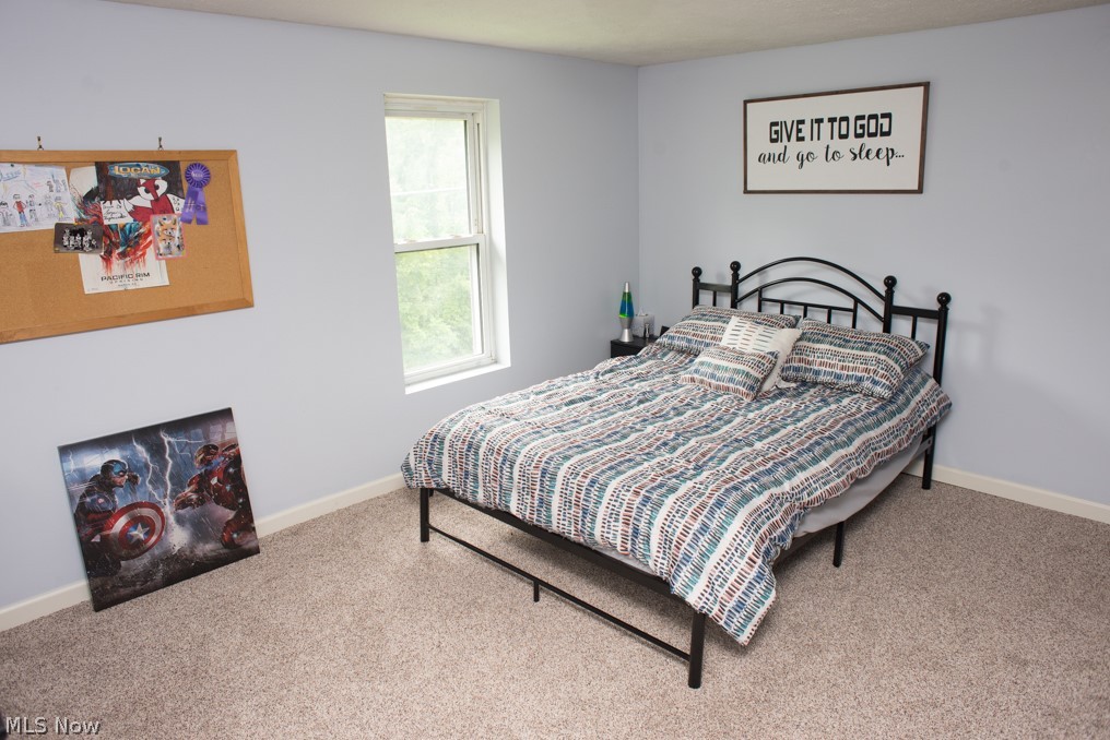 3266 Crimson Road Mansfield, OH 44903 - Photo 19 of 29 Gallery Image 19