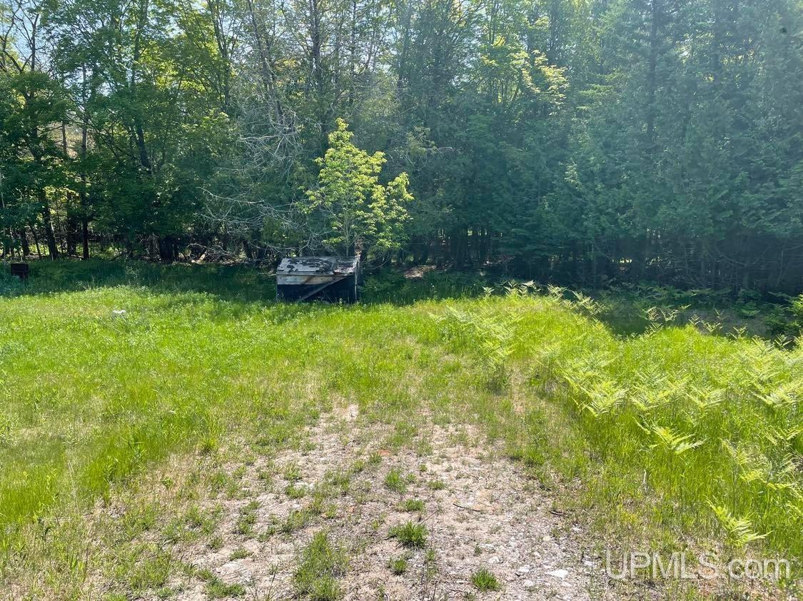 1588 S Little Harbor Road Manistique, MI 49854 - Photo 3 of 6