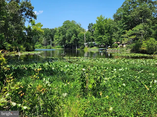 a view of a lake with a house in the background