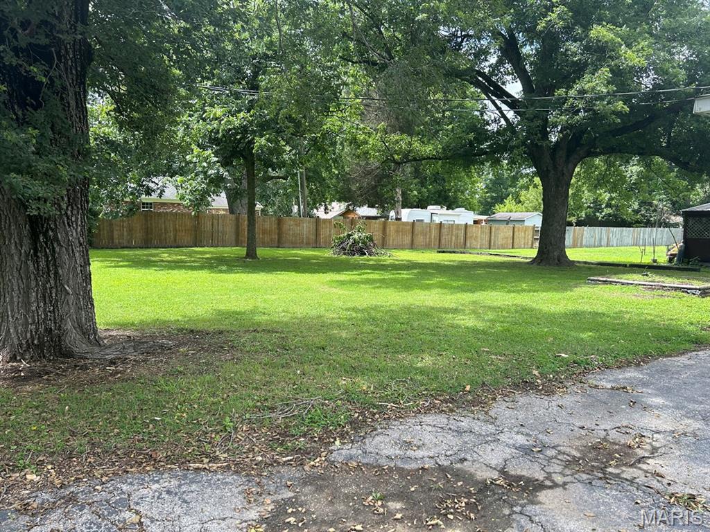 313 South Walnut Street Bernie, MO 63822 - Photo 3 of 17