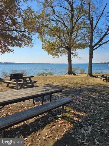 a view of a yard with an outdoor space