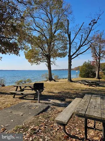 a view of a house with backyard and trees